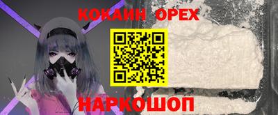 Альфа ПВП Малгобек