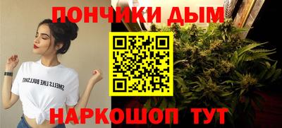 Альфа ПВП Малгобек