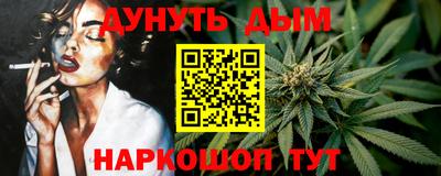 Альфа ПВП Малгобек
