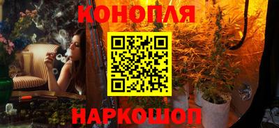 Альфа ПВП Малгобек