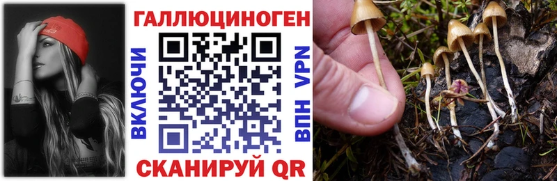 купить наркотик  Чернушка  Галлюциногенные грибы прущие грибы 