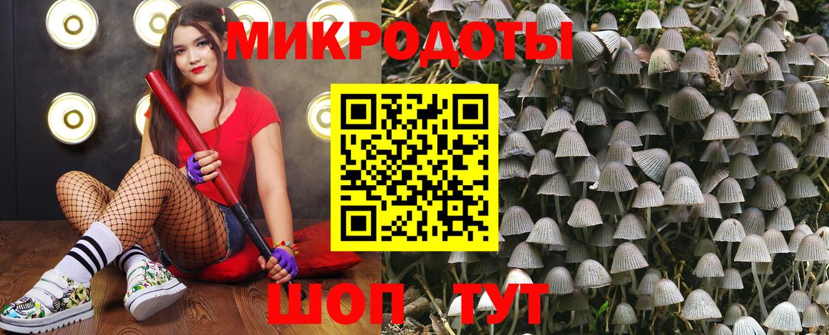 Псилоцибиновые грибы мицелий Чернушка