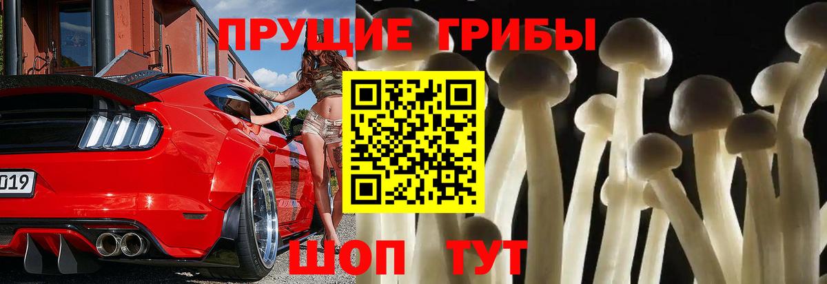 Псилоцибиновые грибы ЛСД  Галлюциногенные грибы Magic Shrooms  Вход с VPN  Чернушка 
